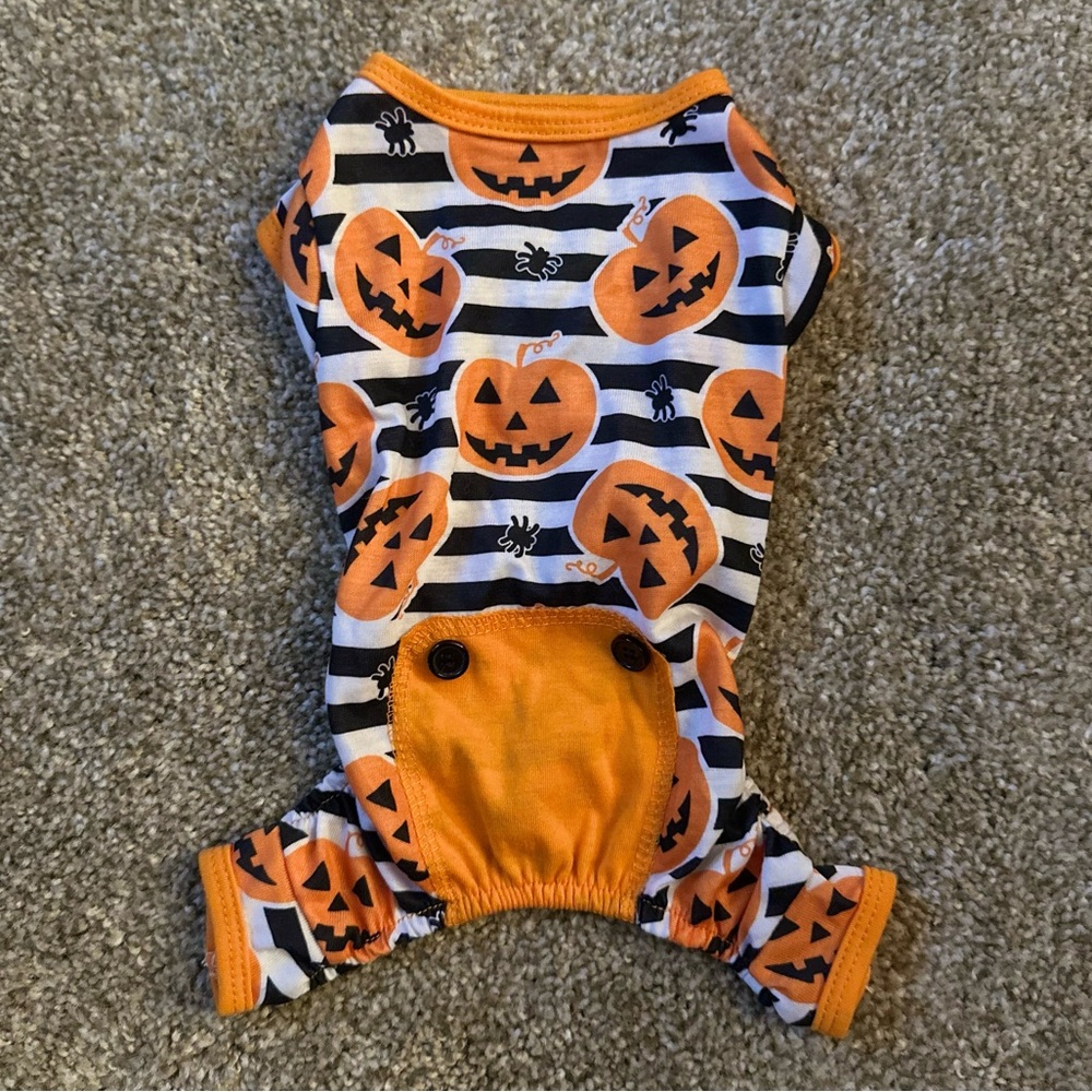 Halloween 🎃 Puppy 🐶 PJ